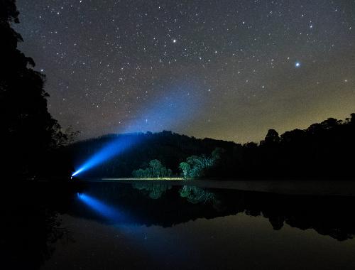 Faisceau lumineux bleu dirig vers un ciel toil et clairant les arbres